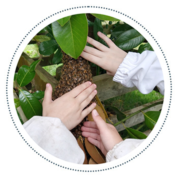 hands-on-tree